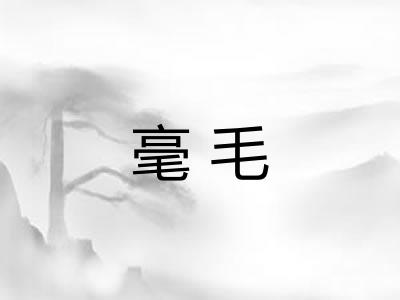 毫毛