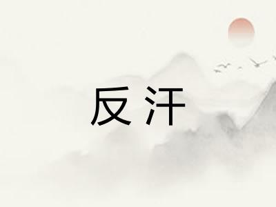反汗