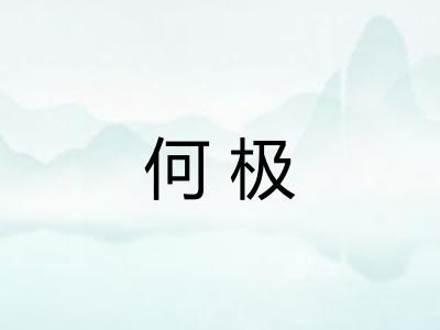 何极