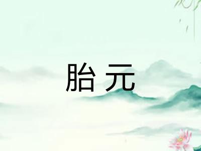 胎元
