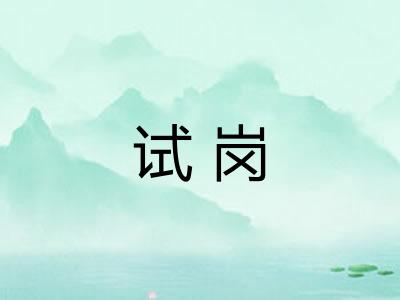 试岗