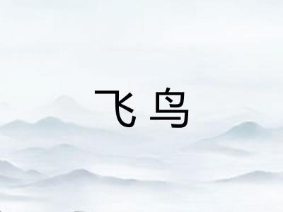 飞鸟