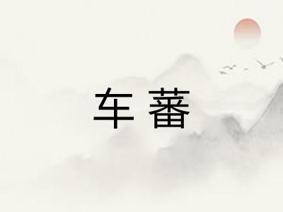 车蕃