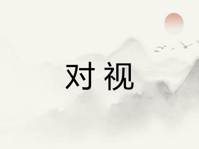 对视