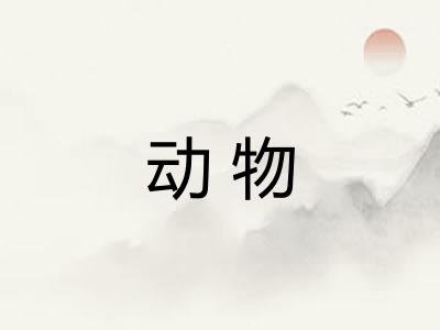 动物