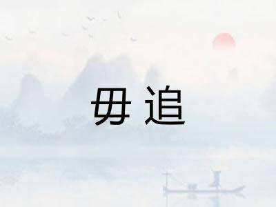 毋追