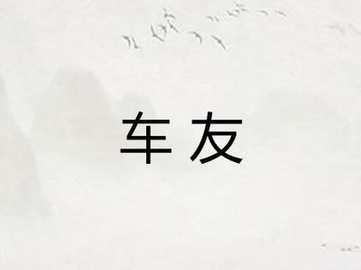 车友