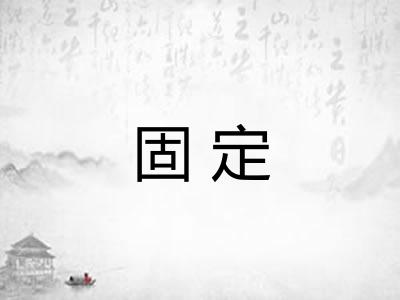 固定