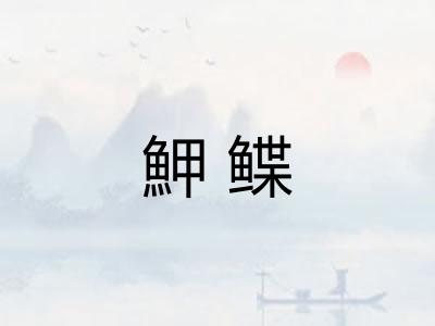 魻鲽