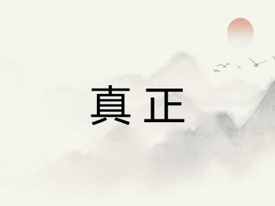真正
