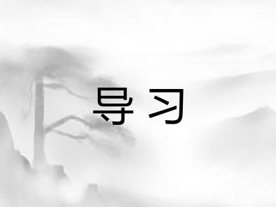 导习