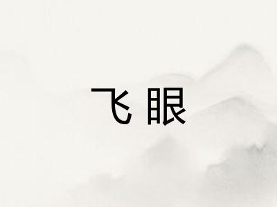 飞眼