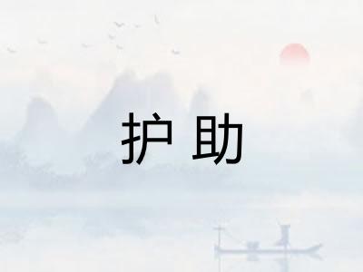 护助