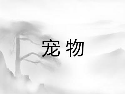宠物 宠物