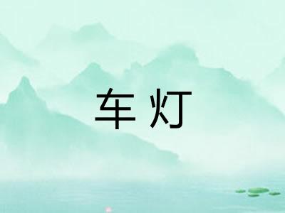 车灯 车灯