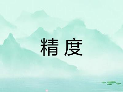 精度 精度