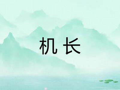 机长 机长
