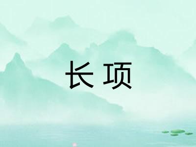 长项 长项