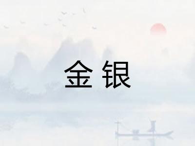 金银 金银