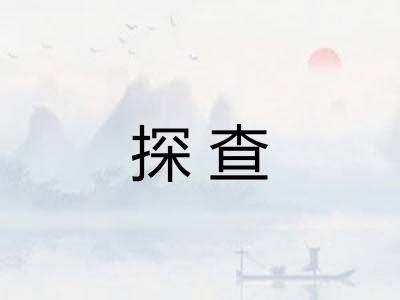 探查 探查