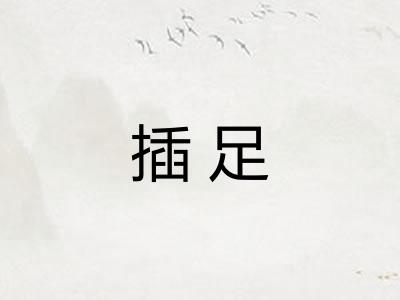 插足 插足