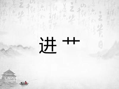 进艹