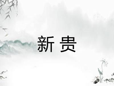 新贵 新贵