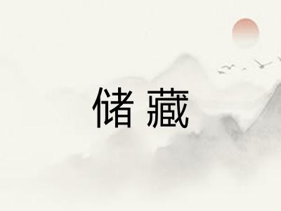 储藏 储藏