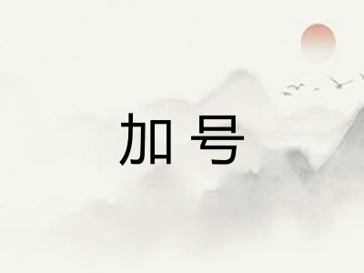 加号
