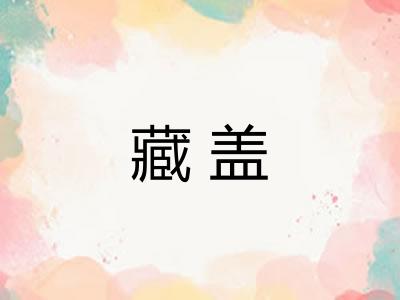 藏盖 藏盖