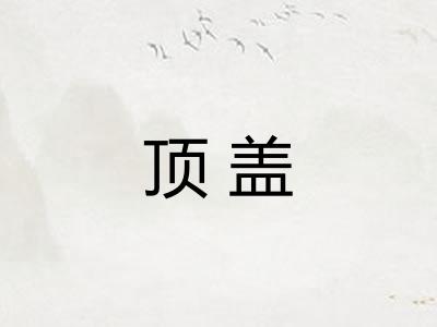 顶盖 顶盖