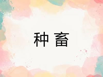 种畜 种畜