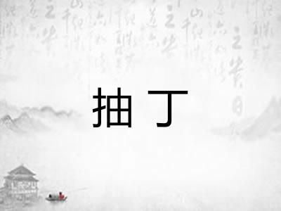 抽丁 抽丁