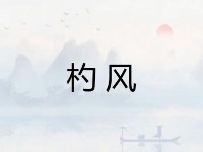 杓风