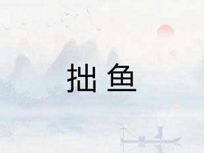 拙鱼 拙鱼