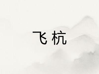 飞杭
