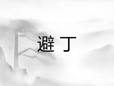 避丁 避丁