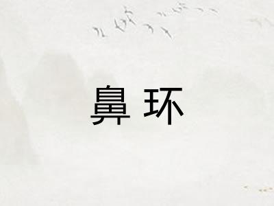 鼻环 鼻环