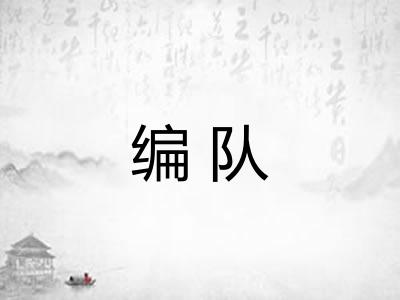 编队