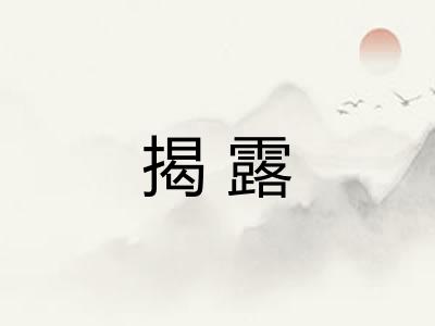 揭露 揭露
