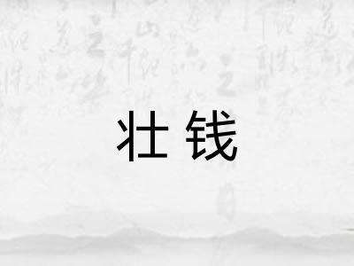 壮钱 壮钱