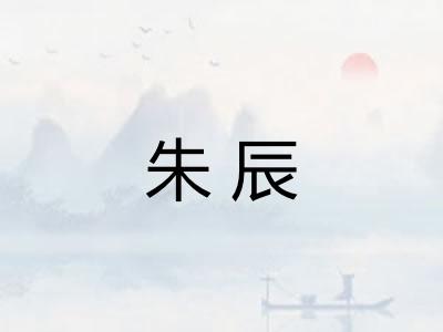 朱辰 朱辰