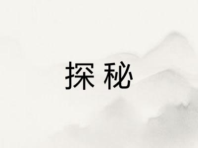 探秘