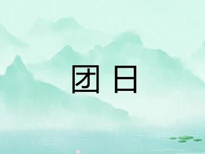 团日