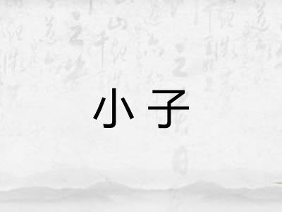 小子