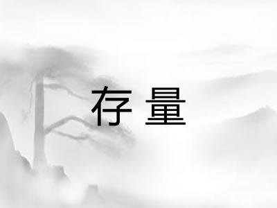 存量