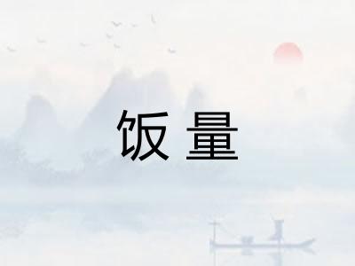 饭量 饭量