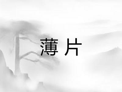薄片