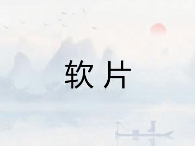 软片