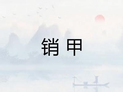 销甲 销甲